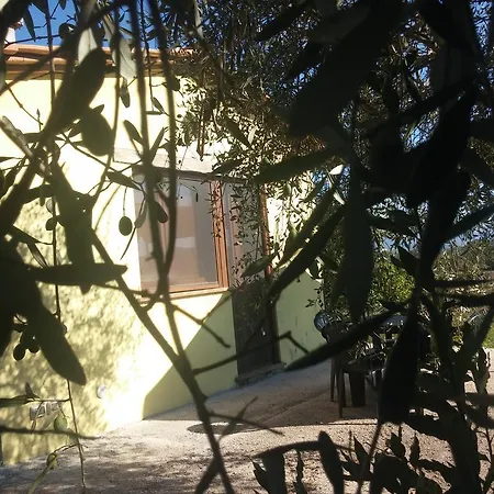 Il Casale Tra I Vigneti Magione