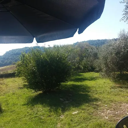 Il Casale Tra I Vigneti