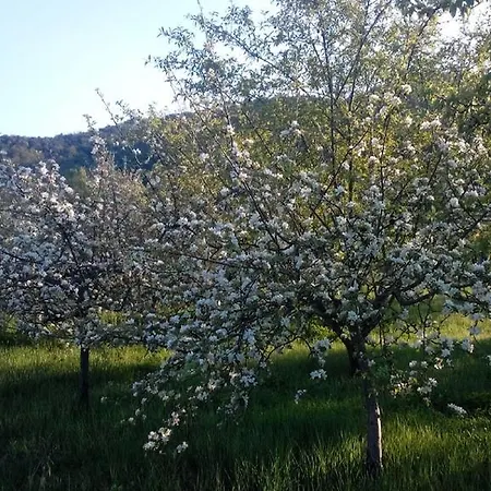 Lantställe Il Casale Tra I Vigneti Magione
