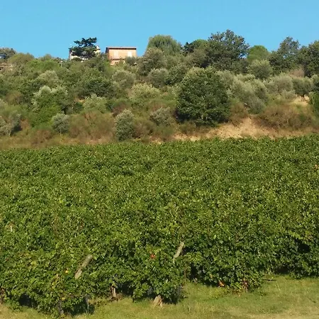 Il Casale Tra I Vigneti Lantställe *