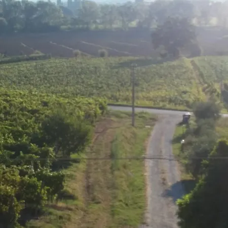 Il Casale Tra I Vigneti Lantställe *